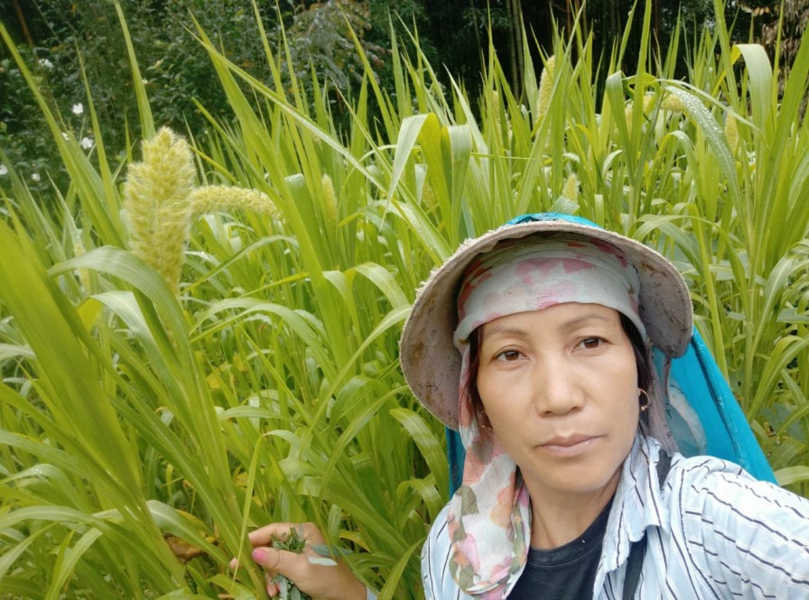 Environment Day Album